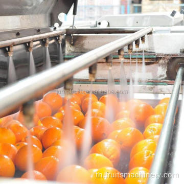สายการผลิตน้ำมะพร้าวสีส้มสด